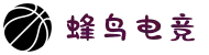 蜂鸟电竞官方网站-竞技赛事查询 Fengniao Game